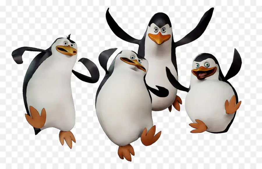 Pingouin，King Pingouin PNG