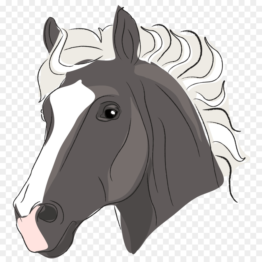 Cheval，Poney PNG