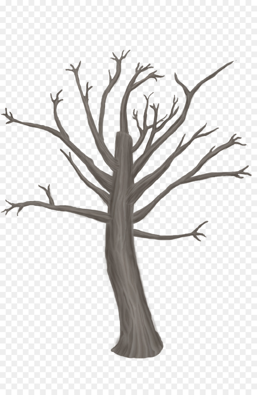 Arbre，Succursales PNG