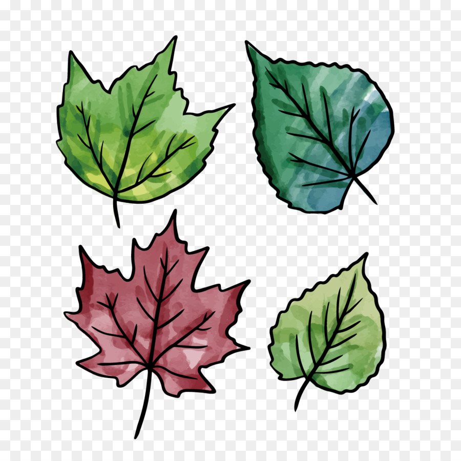 Feuilles，Automne PNG