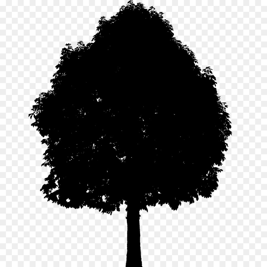 Arbre，Nature PNG