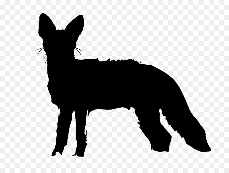 Silhouette De Chat，Animal De Compagnie PNG