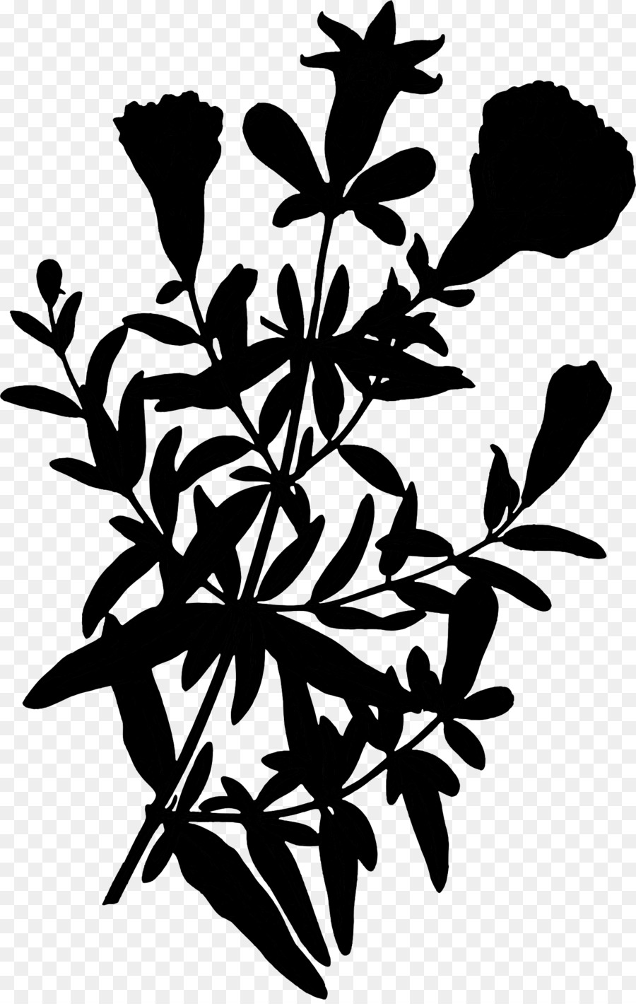 Fleur Silhouette，Noir PNG