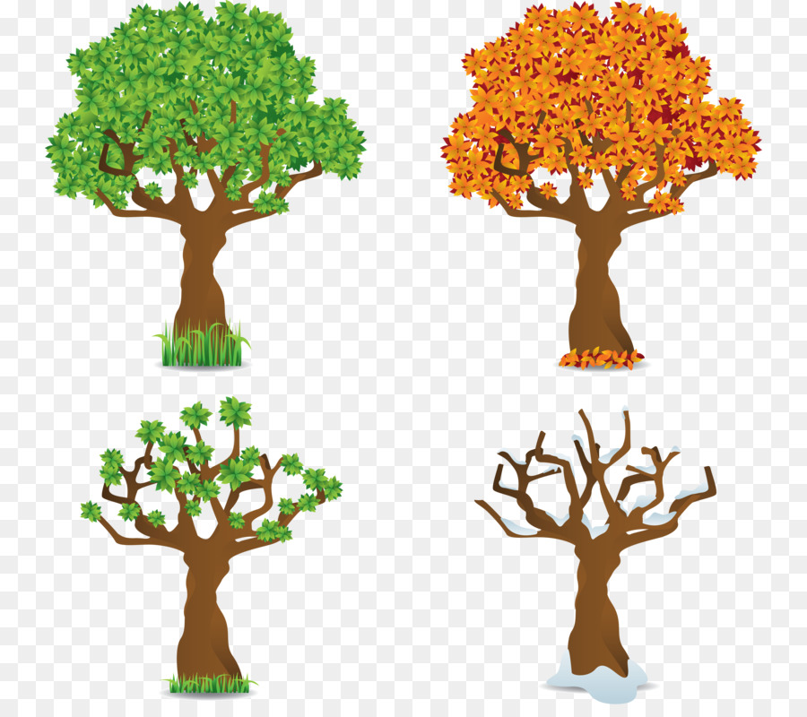 Arbres，Automne PNG