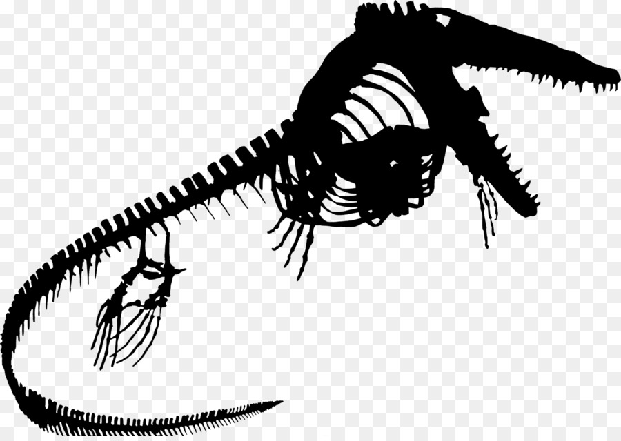 Le Tyrannosaure，Les Invertébrés PNG