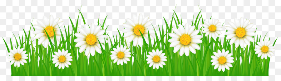 Herbe，Fleurs PNG