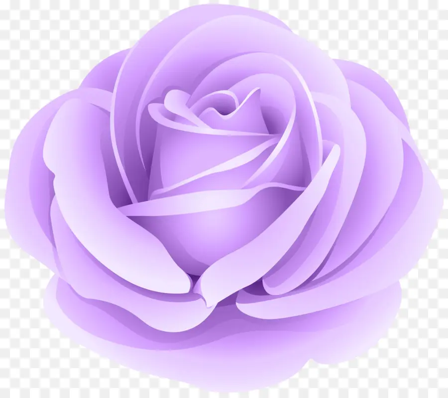 Rose Rose，Fleur PNG