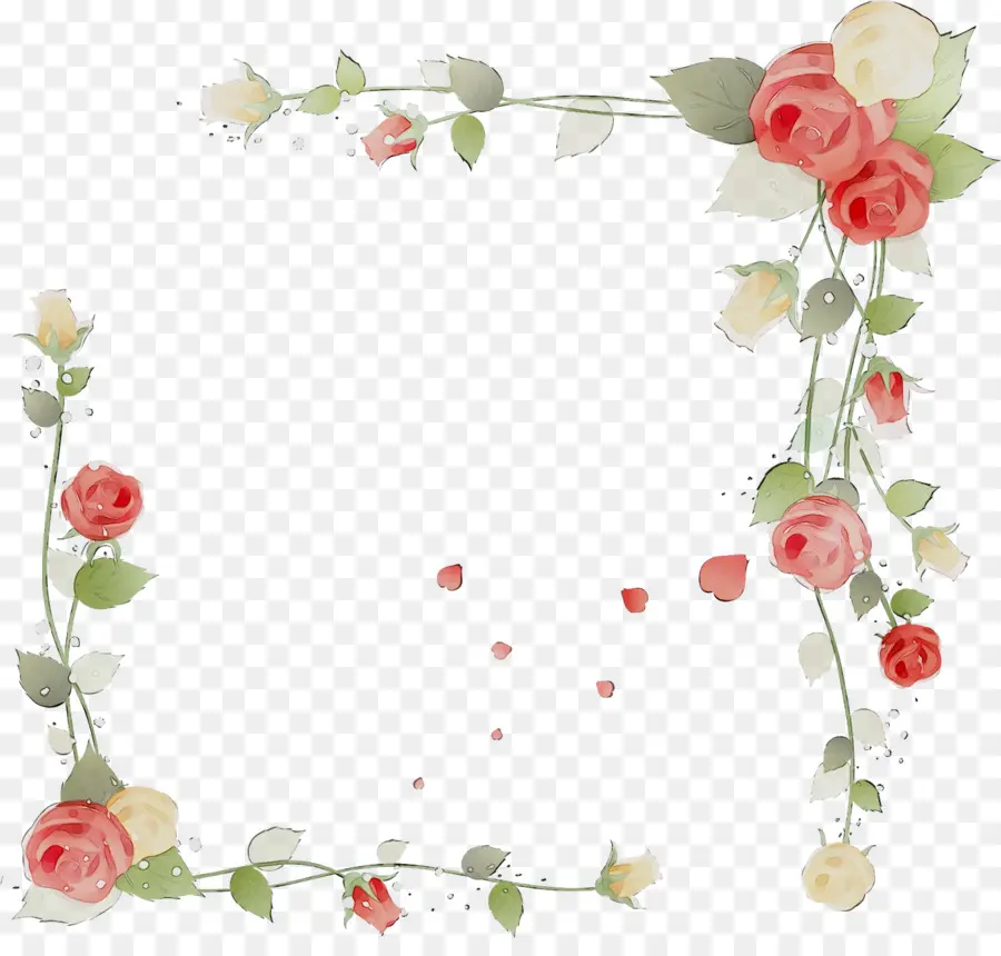 Cadre Rose，Fleurs PNG