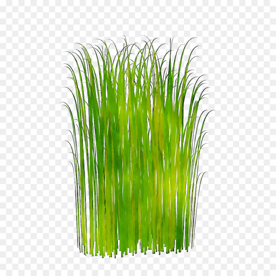 Herbe Verte，Nature PNG