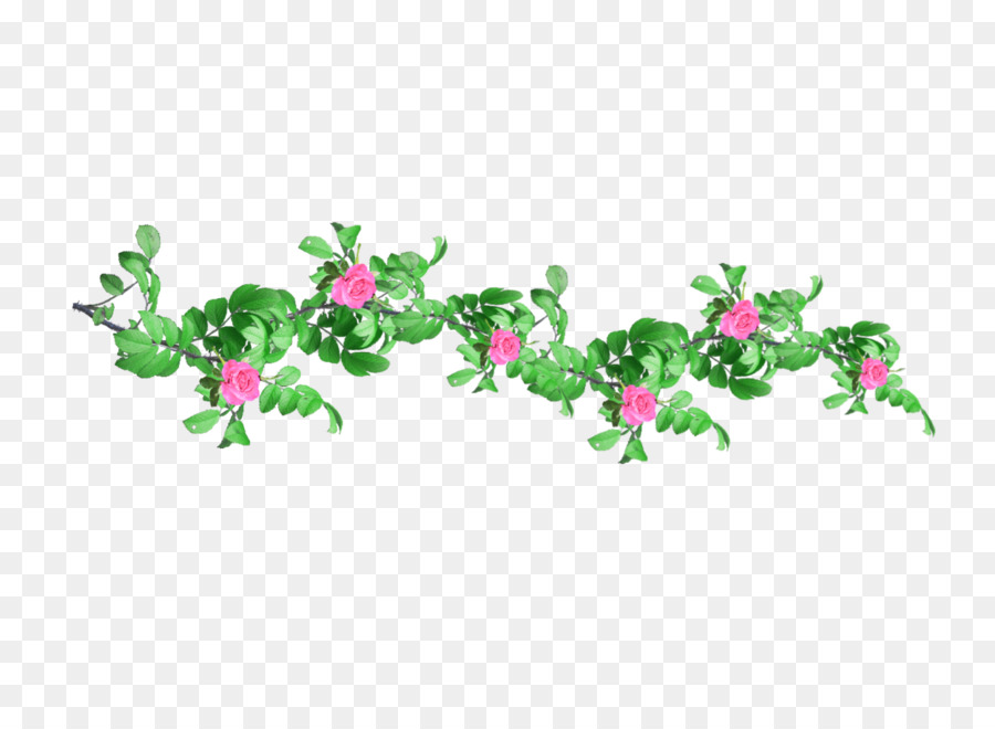 Fleurs，Vignes PNG