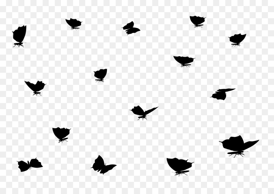 Oiseaux，Troupeau PNG