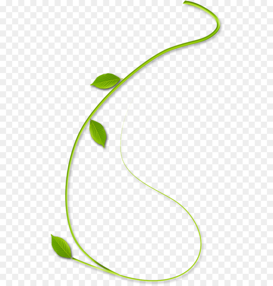 Vigne Verte，Feuilles PNG