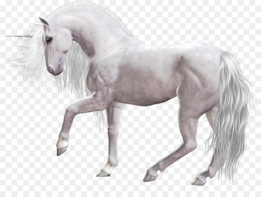 Licorne Blanche，Fantaisie PNG