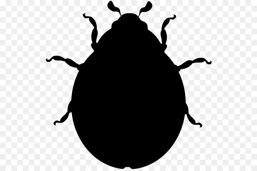 Scarabée，Coccinelle Beetle PNG