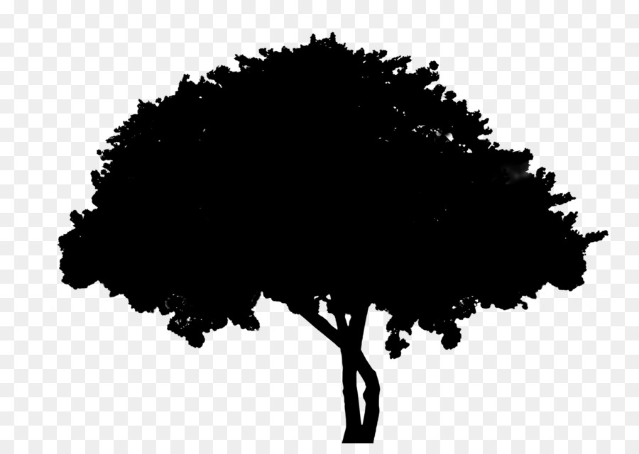 Silhouette D'arbre，Usine PNG