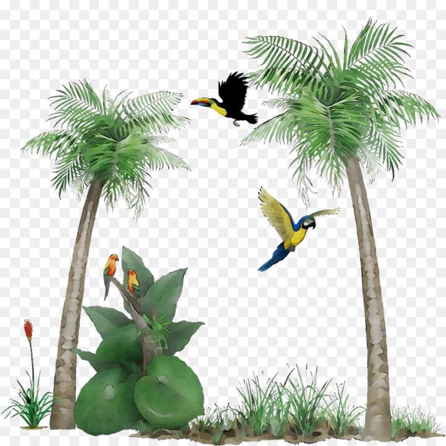 Fresque，Les Plantes PNG