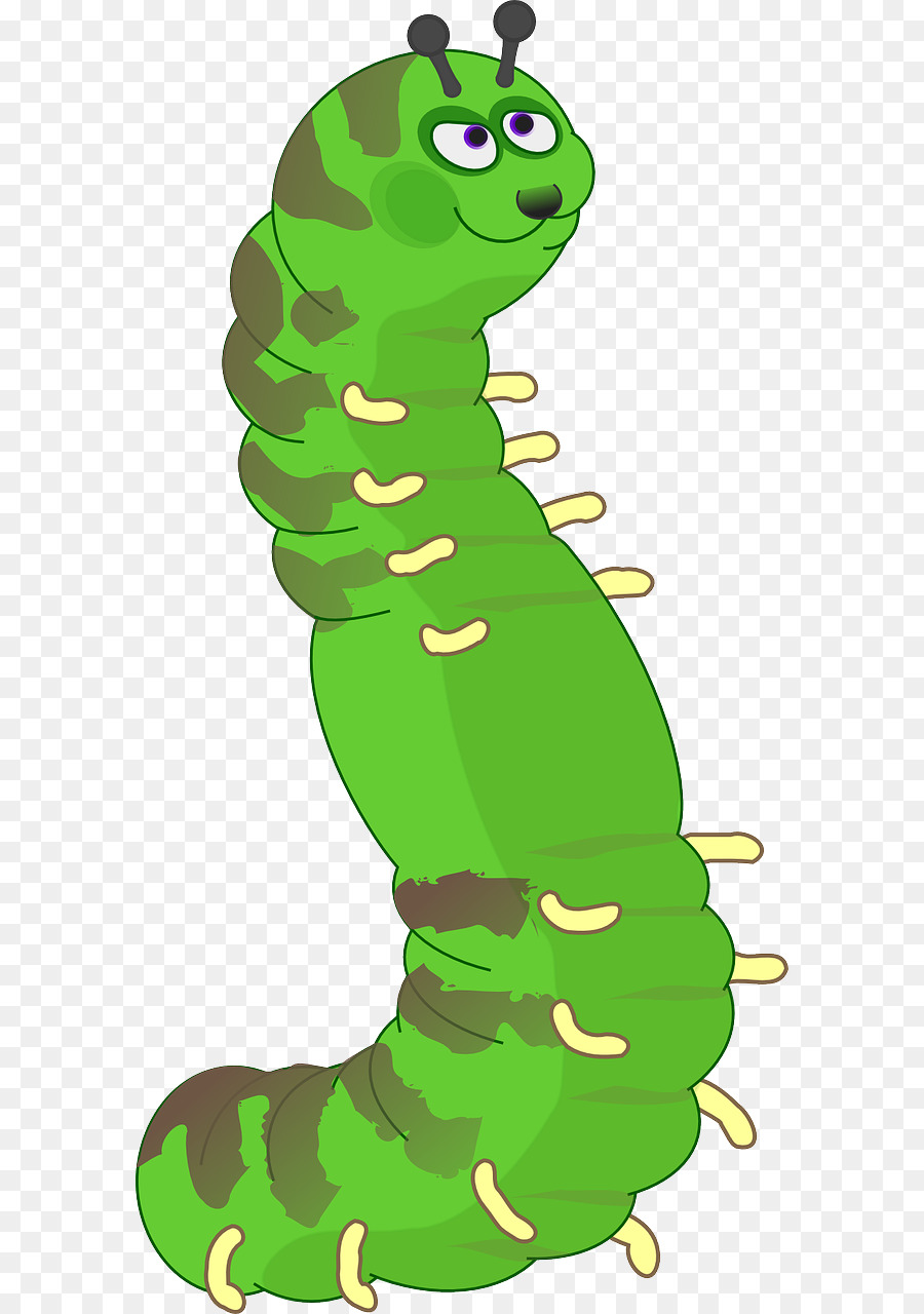 Chenille，Larve PNG