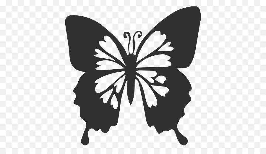 Silhouette De Papillon，Insecte PNG