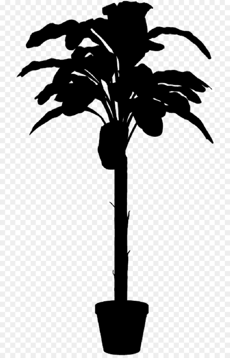 Plante En Pot，Fleur PNG