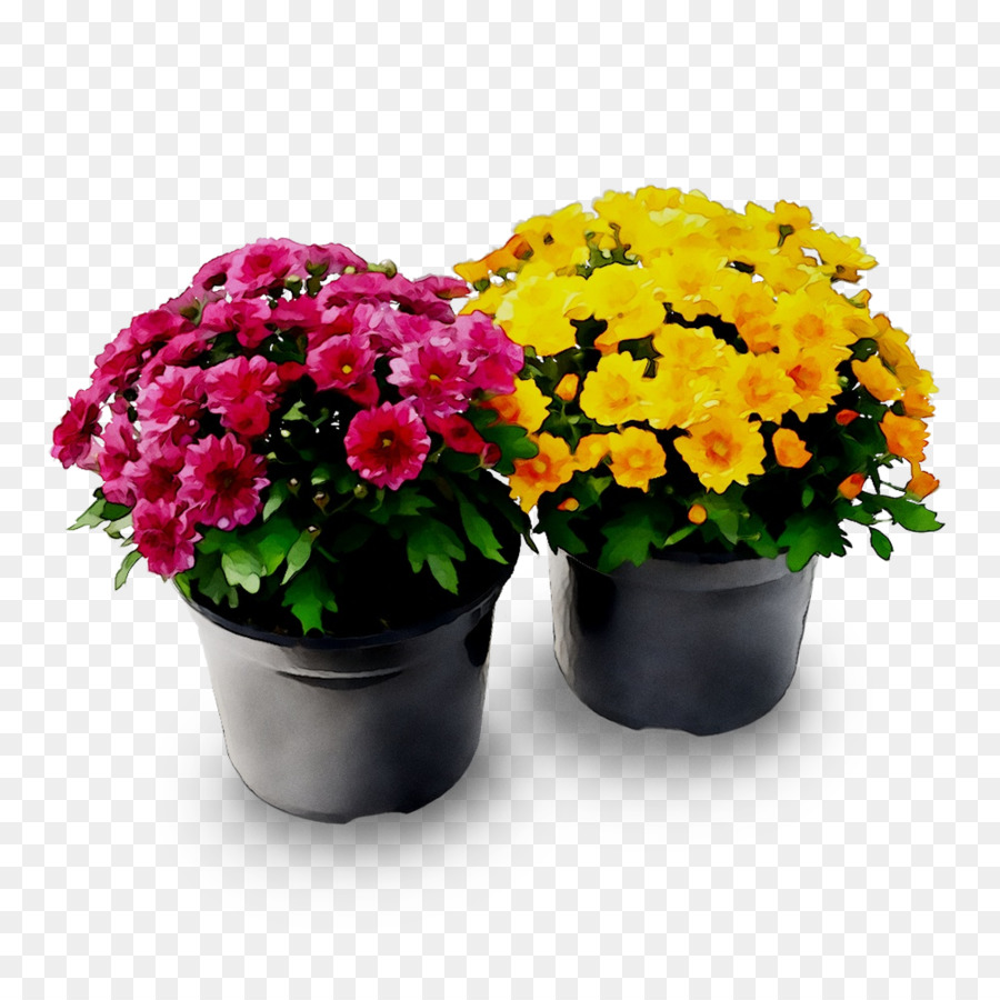 Fleurs En Pot，Plantes PNG