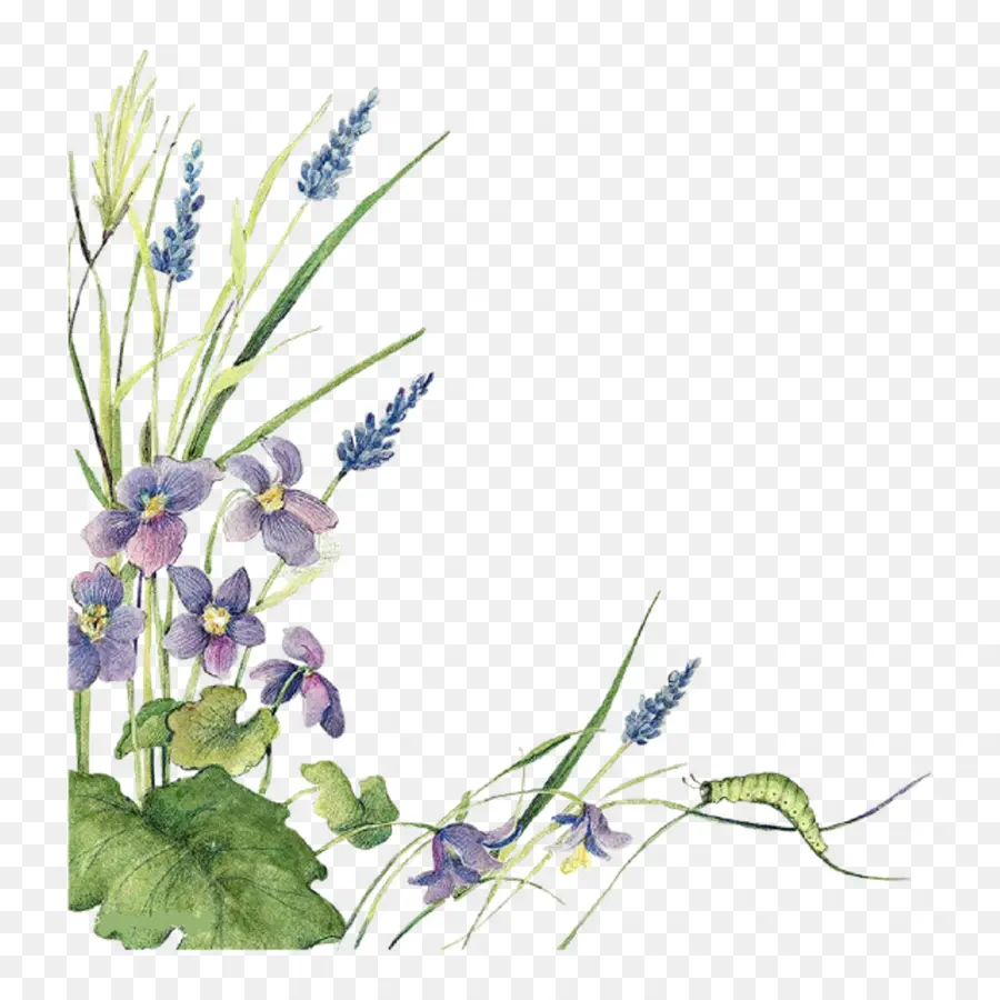 Fleurs Violettes Et Chenille，Plantes PNG