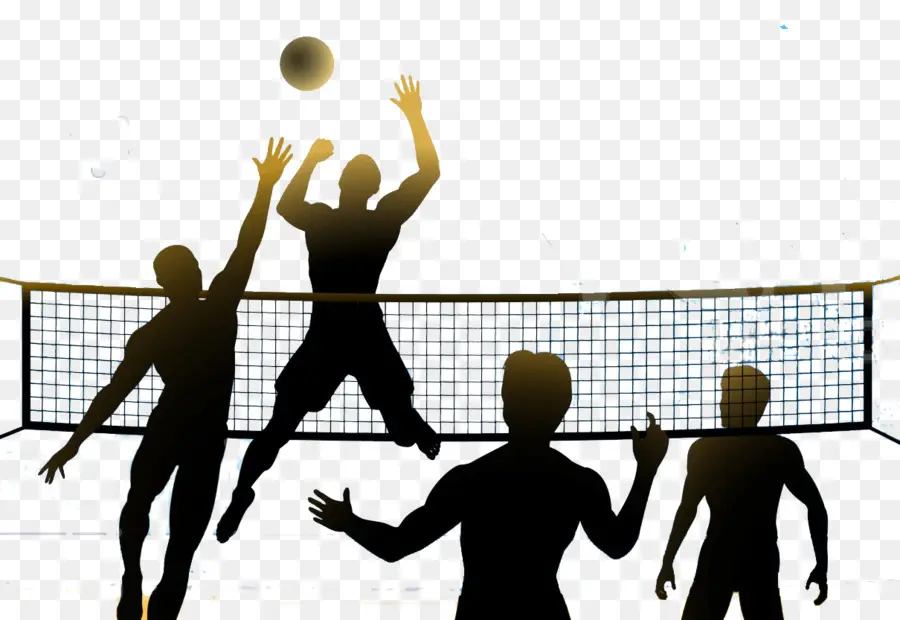 Jeu De Volley Ball，Joueurs PNG