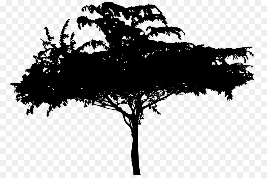 Arbre，Nature PNG