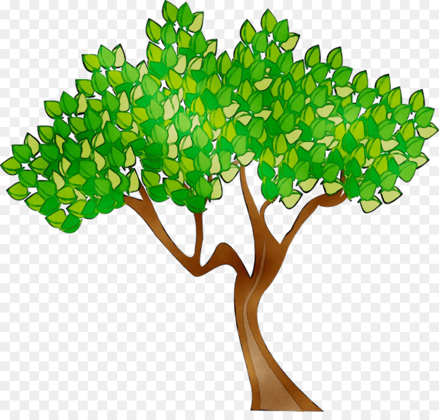 Arbre，Feuilles PNG