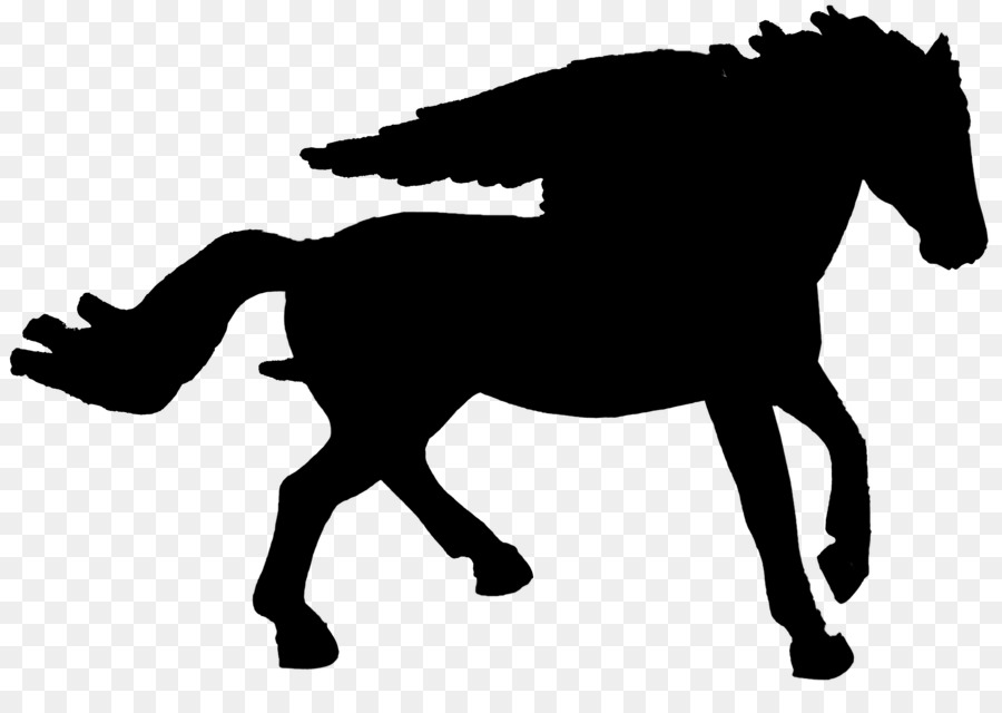 Mustang，Équitation En Anglais PNG