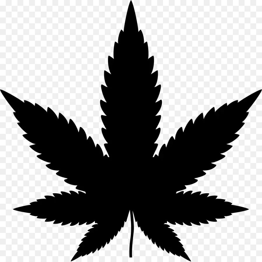 Feuille De Cannabis，Marijuana PNG