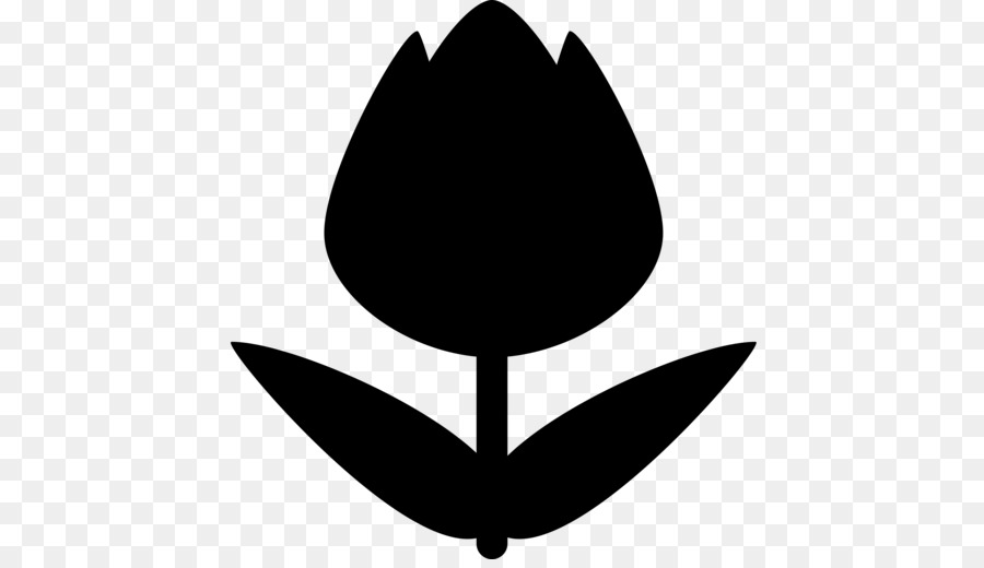 Fleur Noire，Usine PNG