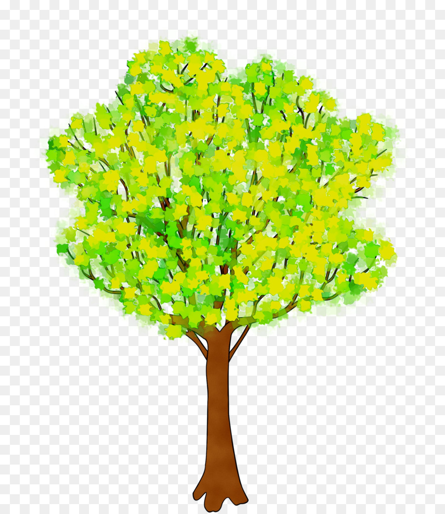 Arbre Vert，Feuilles PNG