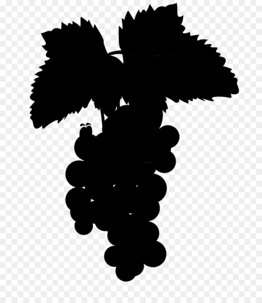 Raisins，Vigne PNG