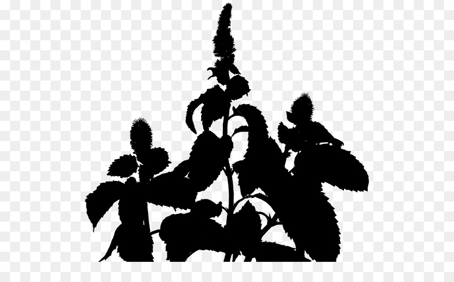 Silhouette，Plante PNG