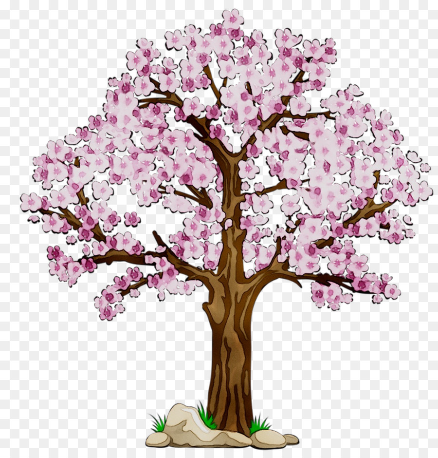 Arbre à Fleurs De Cerisier，Fleurs PNG