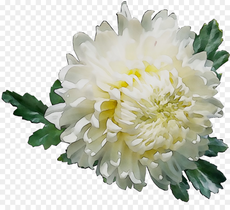 Fleurs Blanches，Fleurir PNG