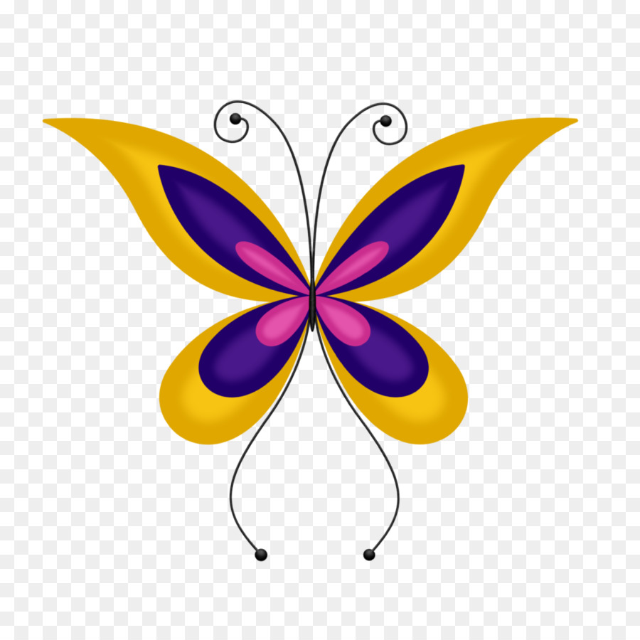 Papillon Orange，Ailes PNG