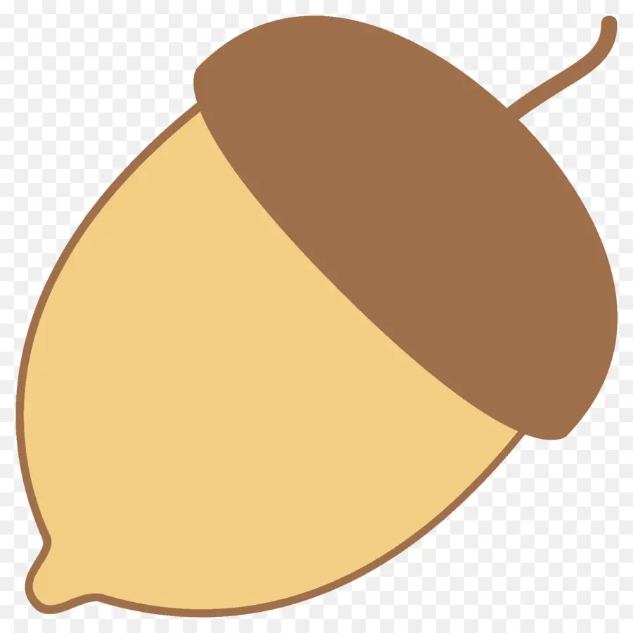 Noix，Fruit PNG