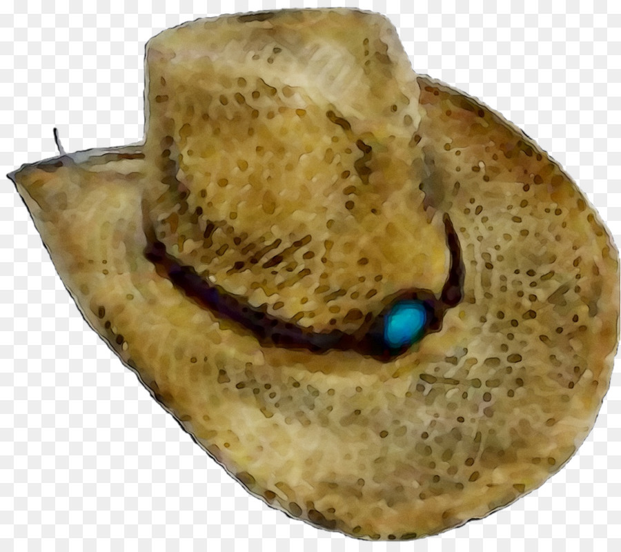 Chapeau，La Paille De Plage Chapeaux PNG