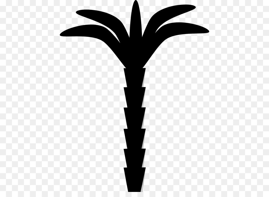 Feuille，Tige De La Plante PNG