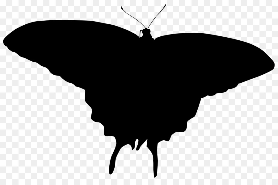 Silhouette De Papillon，Insecte PNG