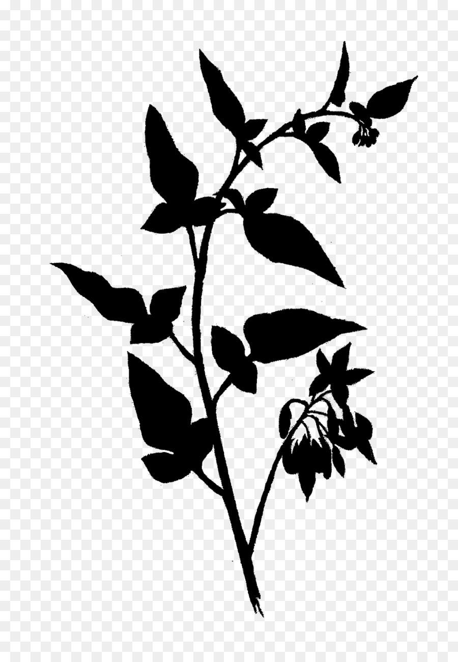 Silhouette De Plante，Feuilles PNG