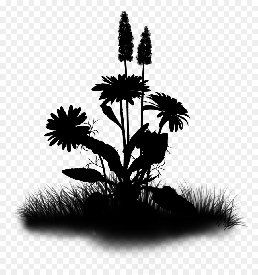 Fleurs De Silhouette，Fleurs PNG