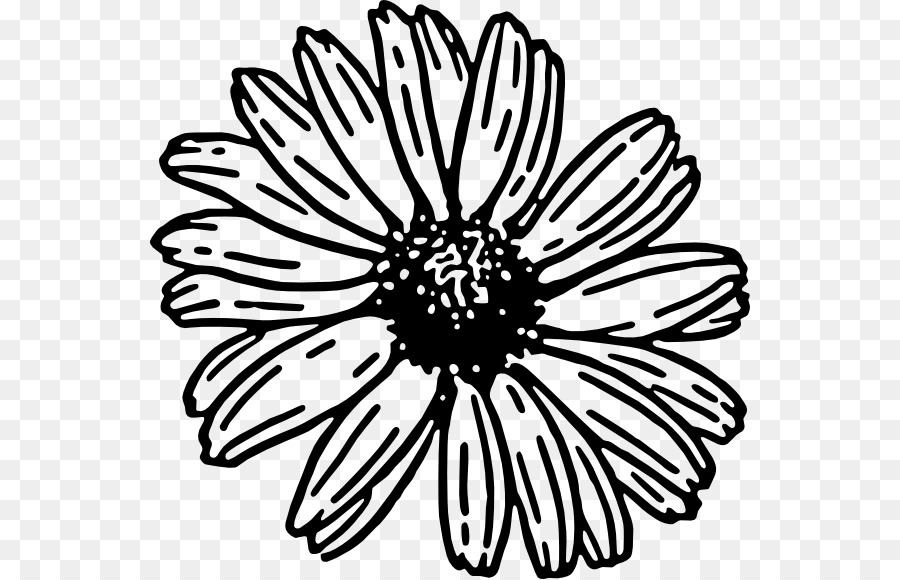 Fleur Noire Et Blanche，Noir Et Blanc PNG