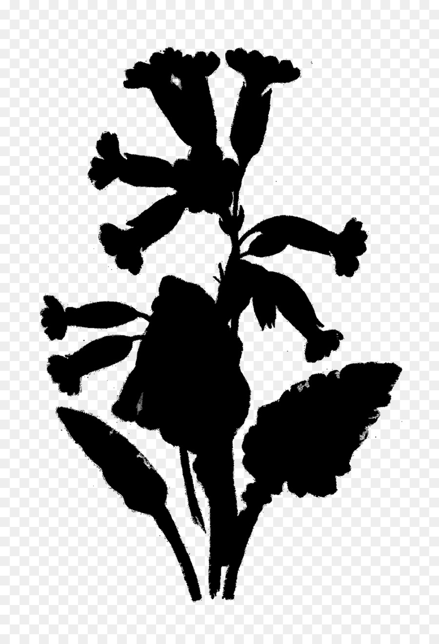 Fleur De Silhouette Noire，Usine PNG