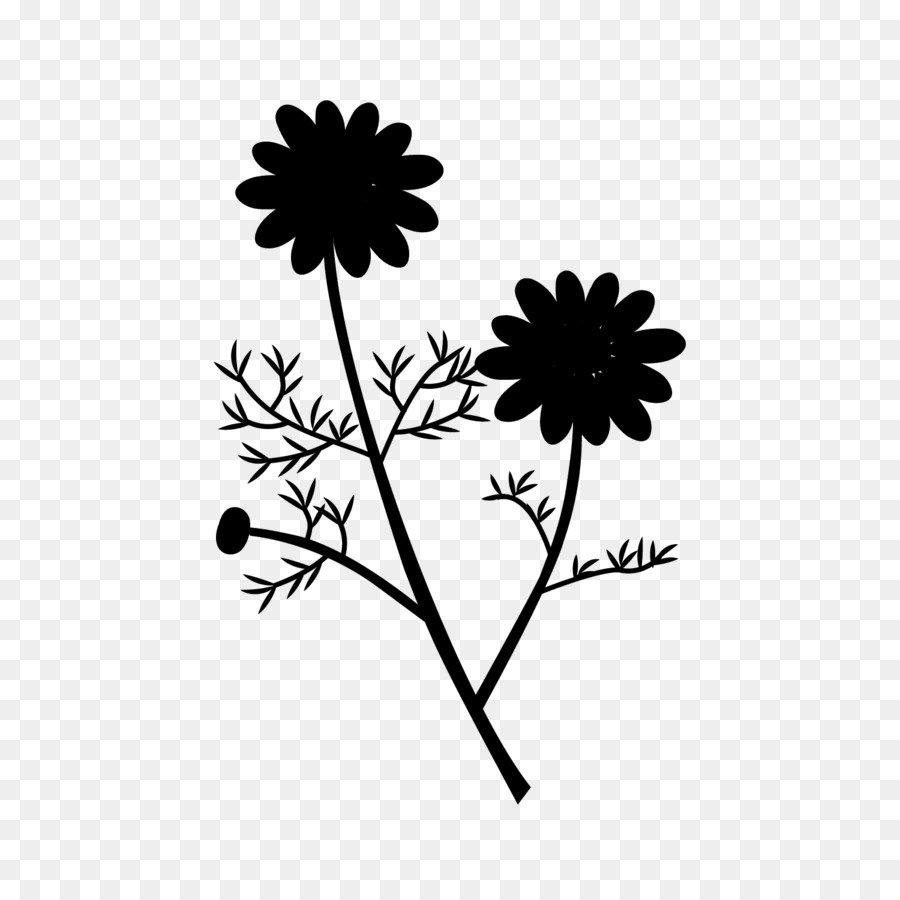 Chrysanthème，Feuille PNG