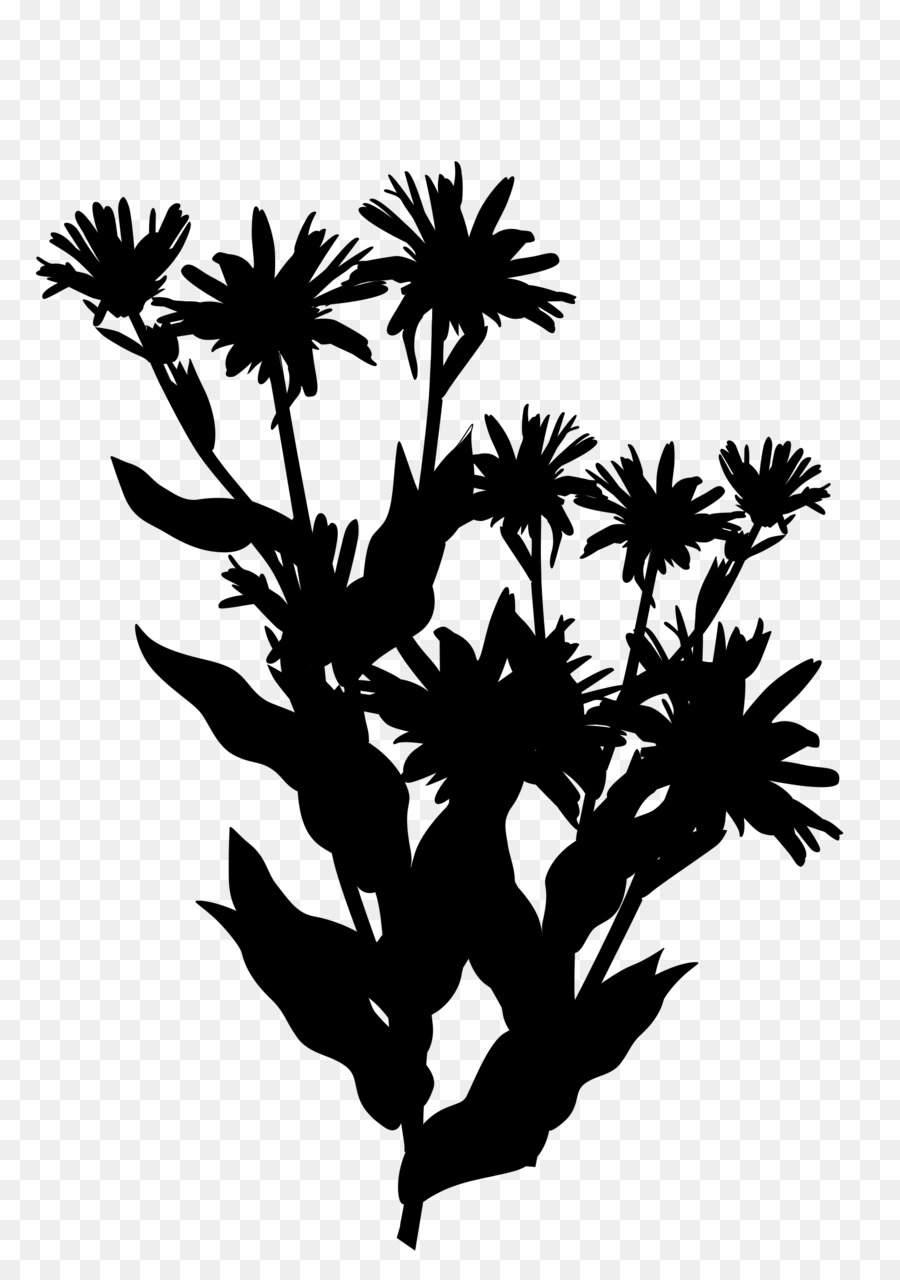 Fleur De Silhouette Noire，Usine PNG