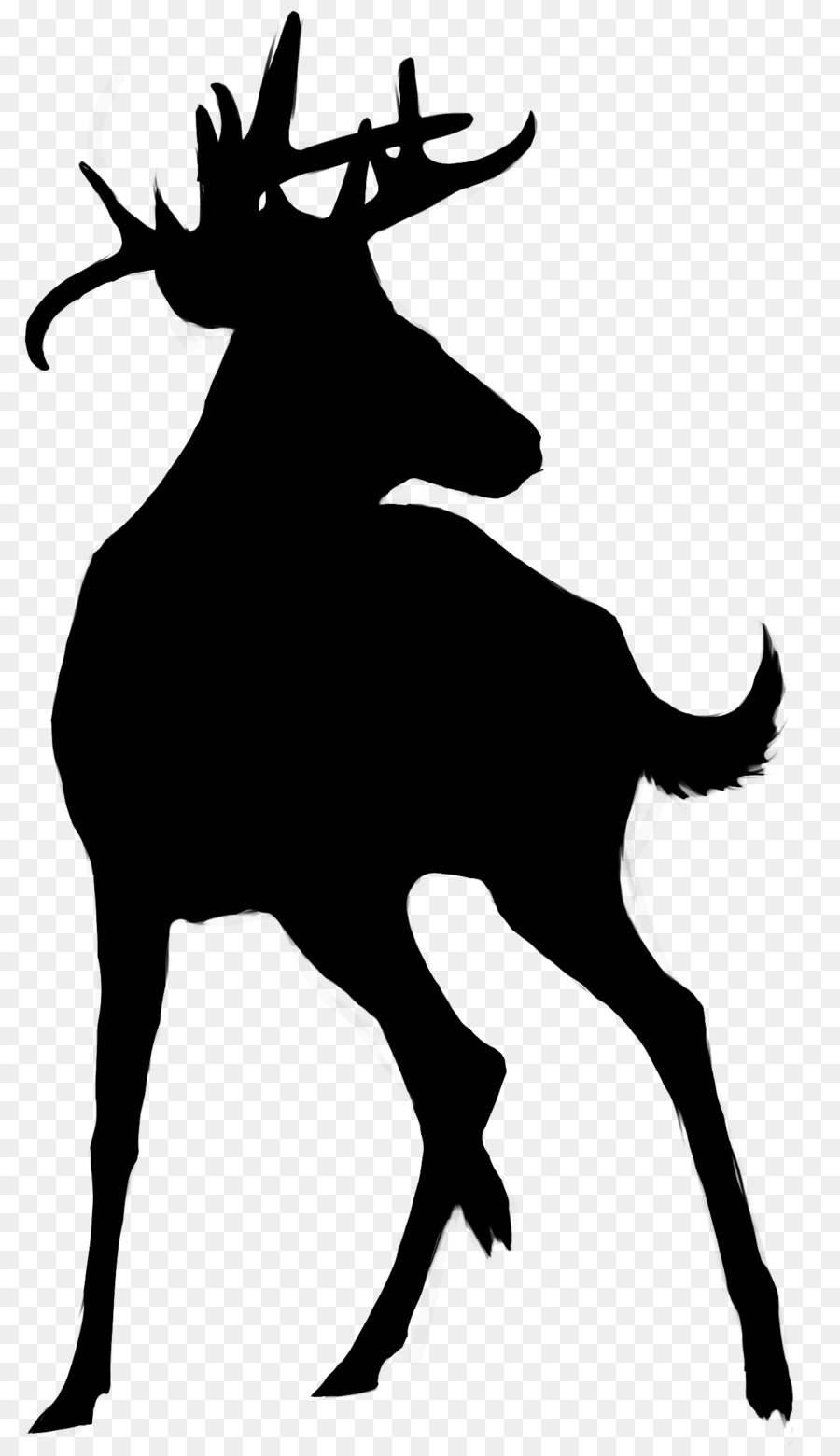 Silhouette De Cerf，Noir PNG