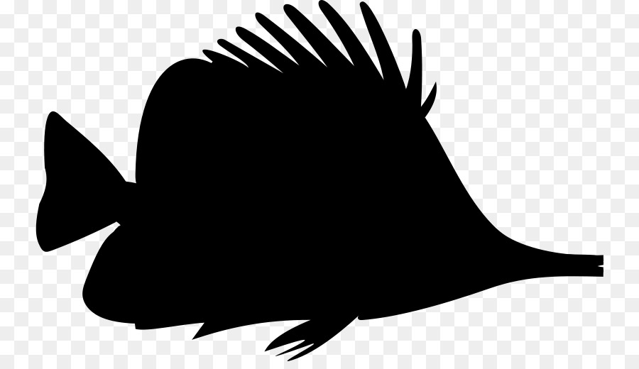 Poisson，Silhouette PNG