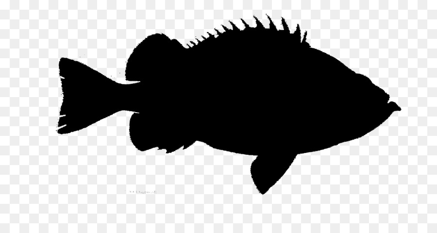 Poisson，Silhouette PNG